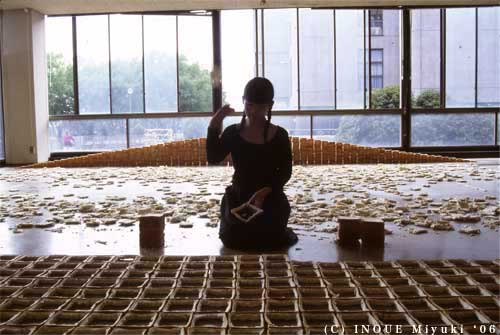 Freshly Torn Bread Arranged