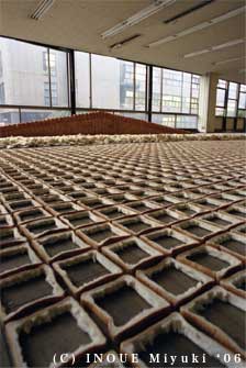 Freshly Torn Bread Arranged