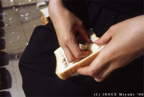 Freshly Torn Bread Arranged