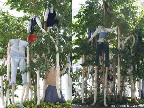 イノウエみゆきmori