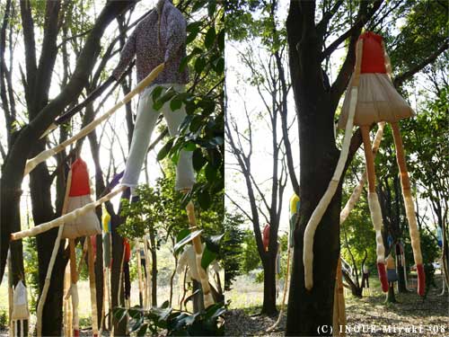 イノウエみゆきmori