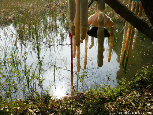 イノウエみゆきmori