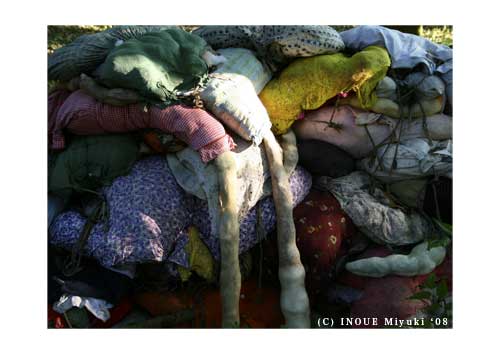 イノウエみゆきmori