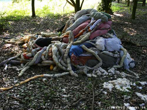 イノウエみゆきmori