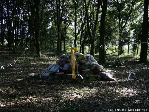 イノウエみゆきmori