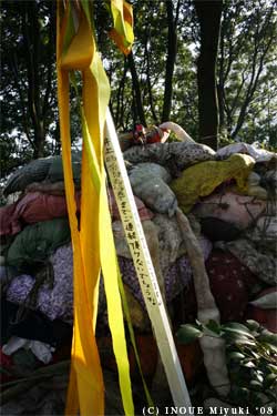 イノウエみゆきmori