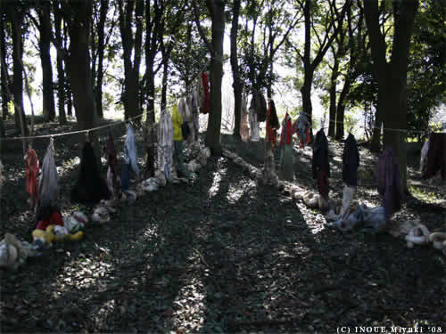 イノウエみゆきmori