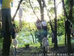 イノウエみゆきmori