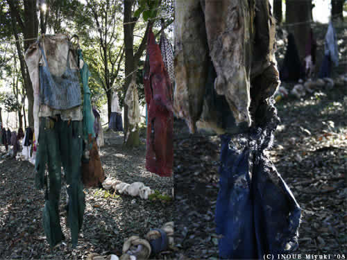 イノウエみゆきmori