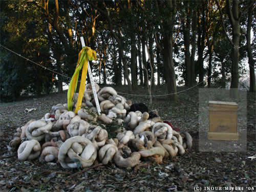 イノウエみゆきmori