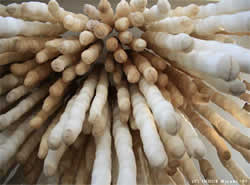 イノウエみゆきmori